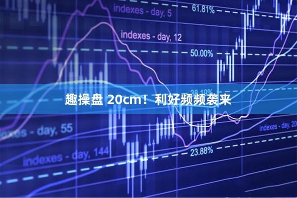 趣操盘 20cm！利好频频袭来