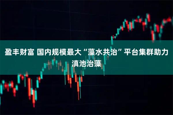 盈丰财富 国内规模最大“藻水共治”平台集群助力滇池治藻