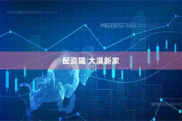 配资猫 大漠新家