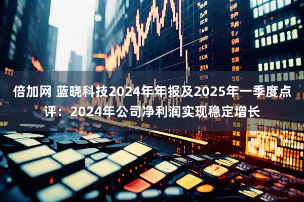 倍加网 蓝晓科技2024年年报及2025年一季度点评：2024年公司净利润实现稳定增长