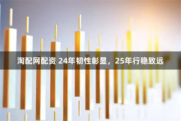 淘配网配资 24年韧性彰显，25年行稳致远