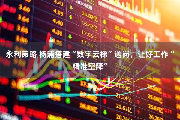 永利策略 杨浦搭建“数字云梯”送岗，让好工作“精准空降”