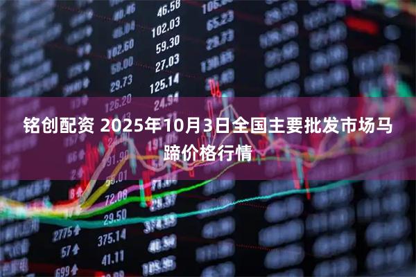 铭创配资 2025年10月3日全国主要批发市场马蹄价格行情