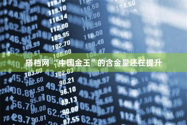 搭档网 “中国金王”的含金量还在提升