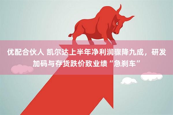 优配合伙人 凯尔达上半年净利润骤降九成，研发加码与存货跌价致业绩“急刹车”
